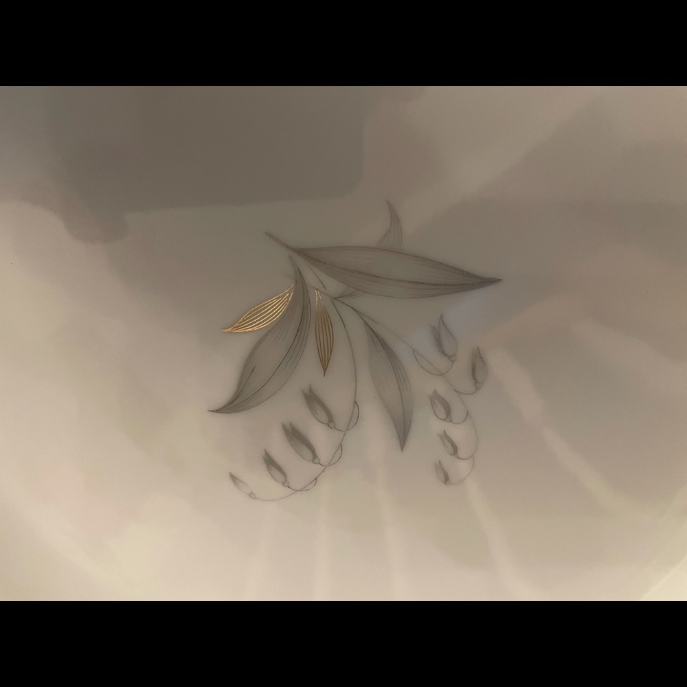 Kaysons Golden Rhapsody - Picture 4 of 4